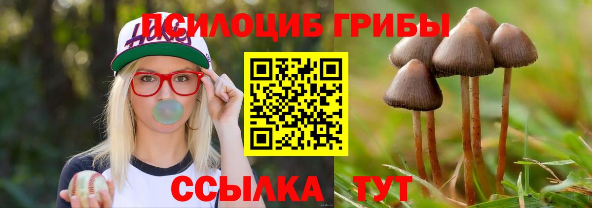 Галлюциногенные грибы мухоморы  Вход с VPN  Белорецк 